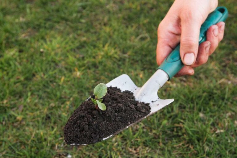 What Is The Use Of Hand Trowel In Agriculture