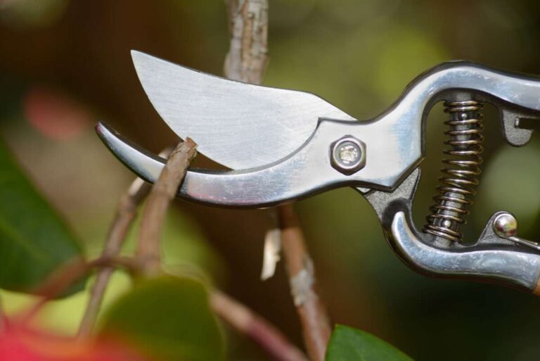 How Do You Sharpen Pruning Shears