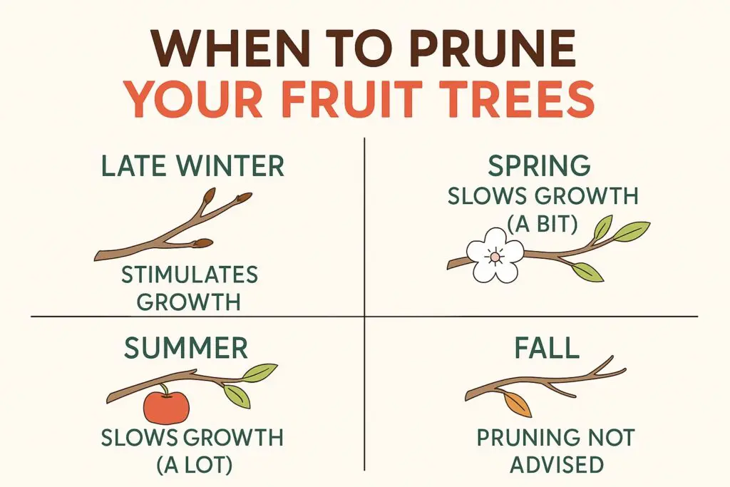 Can I Trim A Tree In The Fall