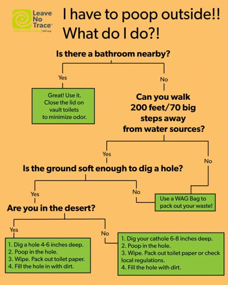 What Can You Use To Dig A Hole
