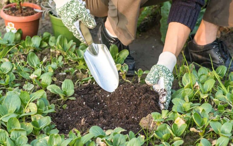 How To Use A Garden Trowel