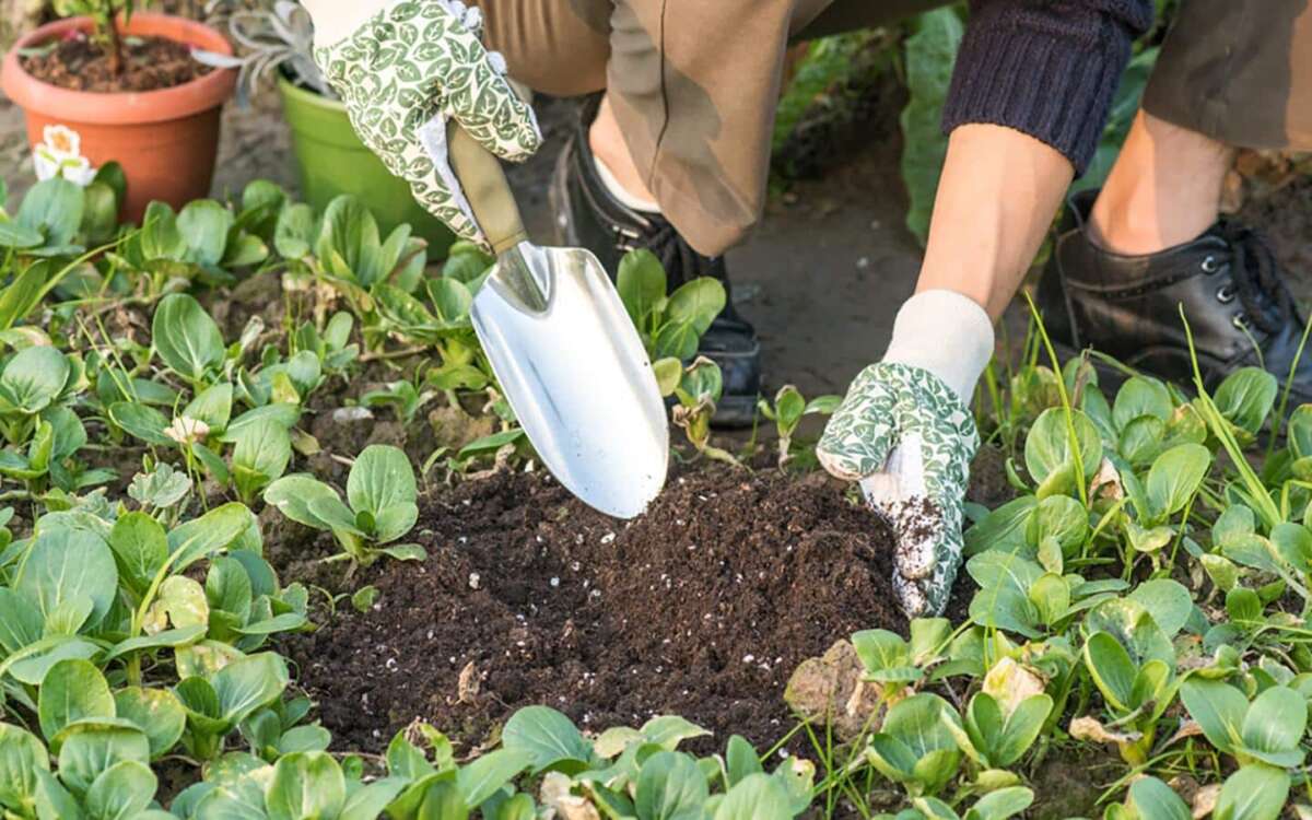 How To Use A Garden Trowel