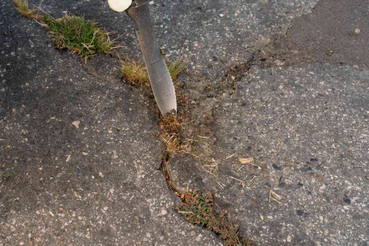 What To Use To Get Weeds Out Of Cracks