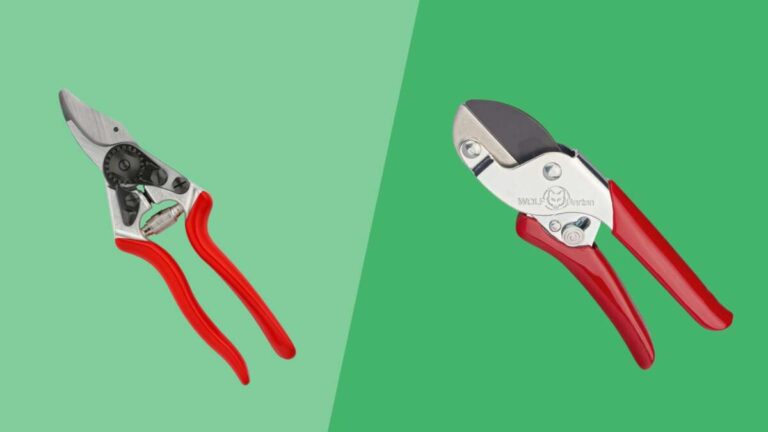 Bypass Vs Anvil Pruner