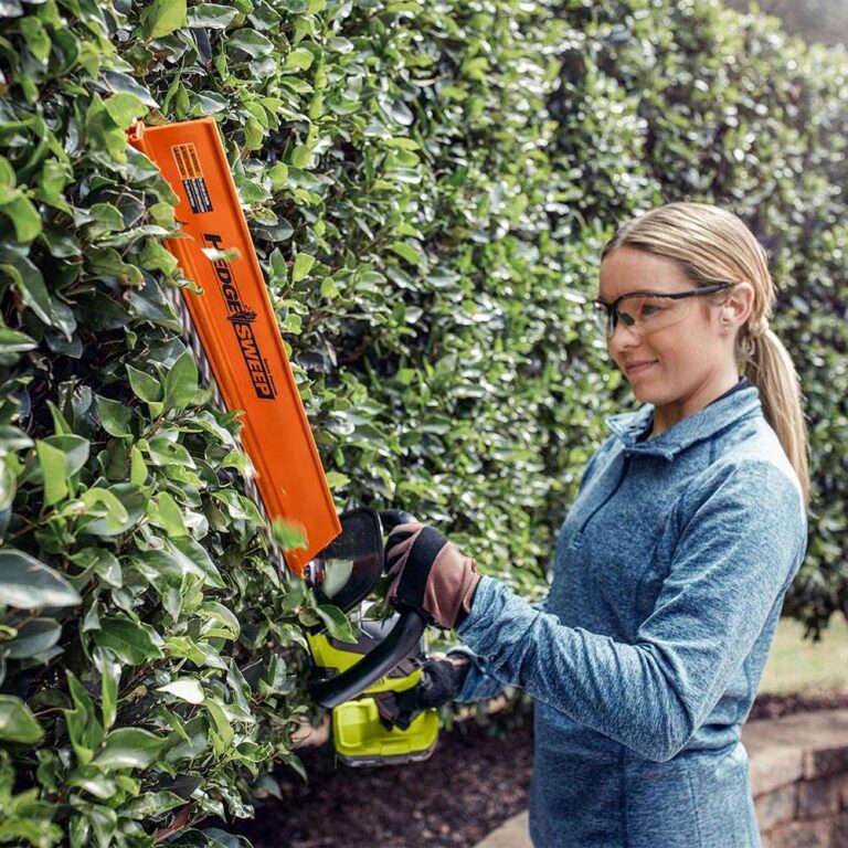 Can You Trim Hedges In The Fall