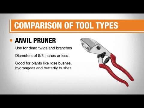 What Is The Meaning Of Pruning Shears