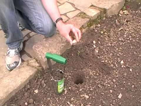 What Does A Bulb Planter Do