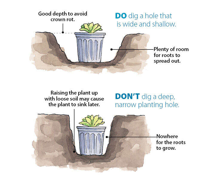 What To Use To Dig Holes For Plants