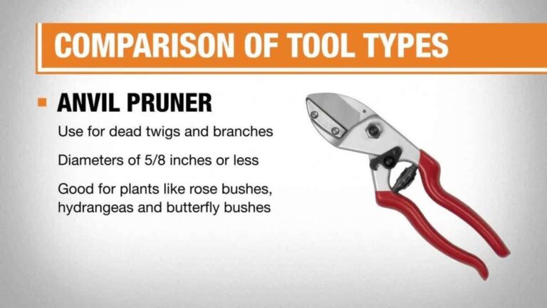 What Is The Purpose Of Pruning Shears