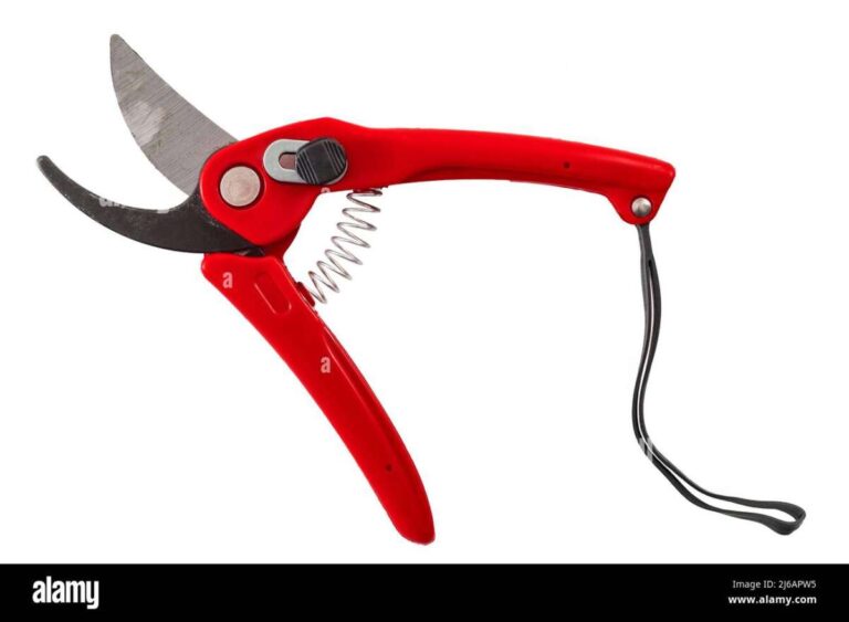 Which Garden Tool Is Used For Pruning