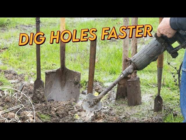 What Is The Best Tool For Digging