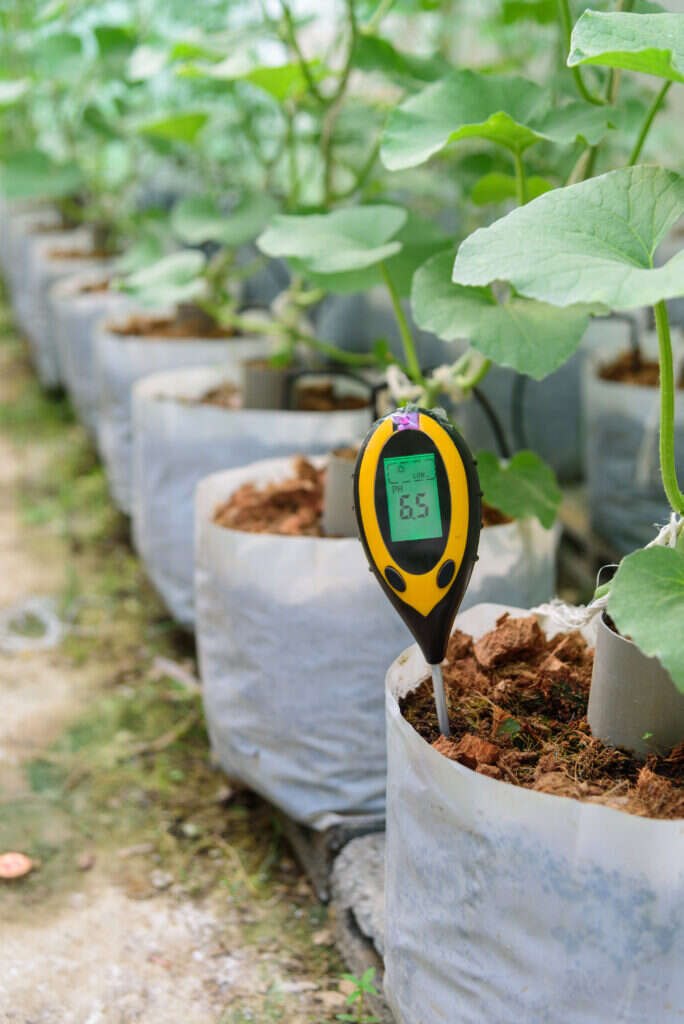 What Tools Do I Need To Plant A Garden