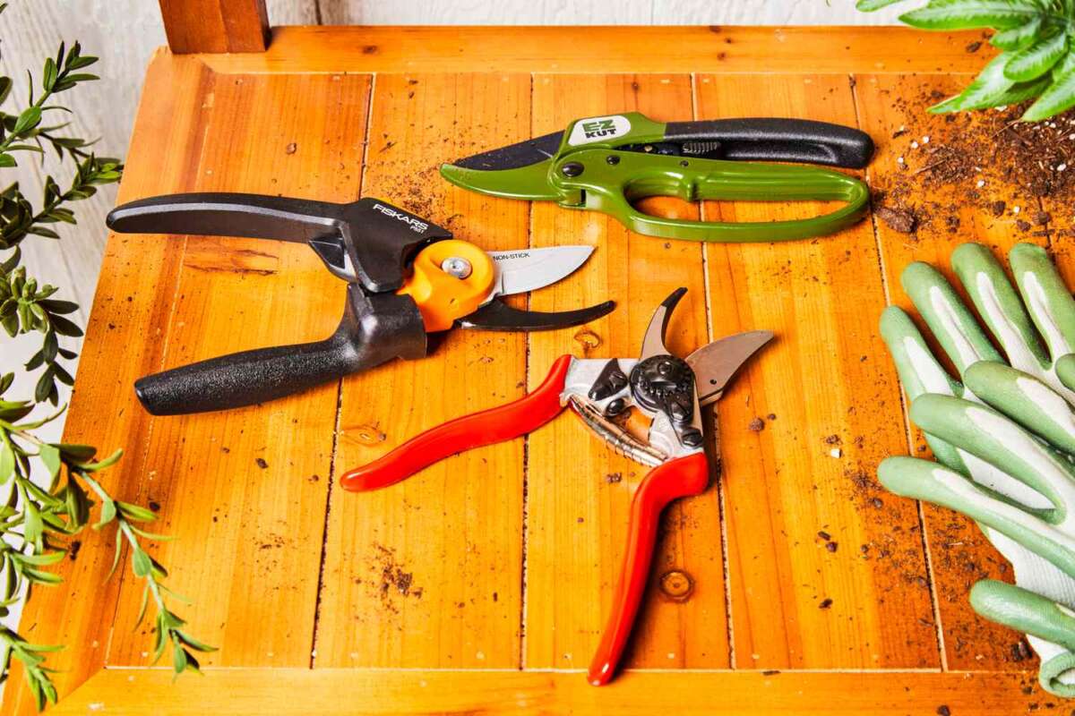 What Do Pruning Shears Look Like