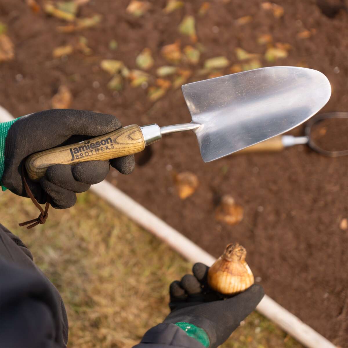 What Is The Use Of Transplanter